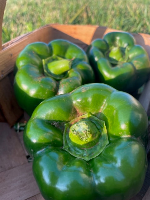 Green Bell Peppers - *Sold Out*